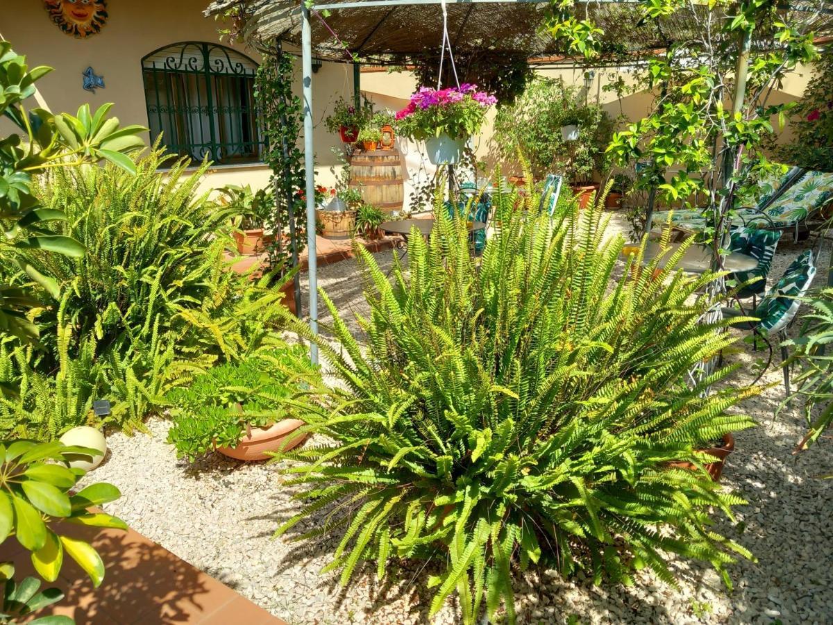 Bed And Breakfast Rosangela Ταορμίνα Εξωτερικό φωτογραφία