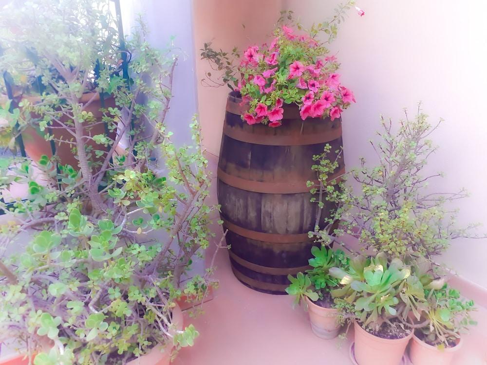Bed And Breakfast Rosangela Ταορμίνα Εξωτερικό φωτογραφία
